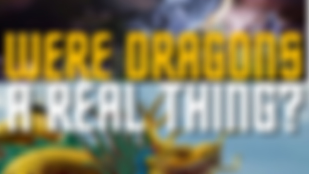 Are Dragons Real TikTok