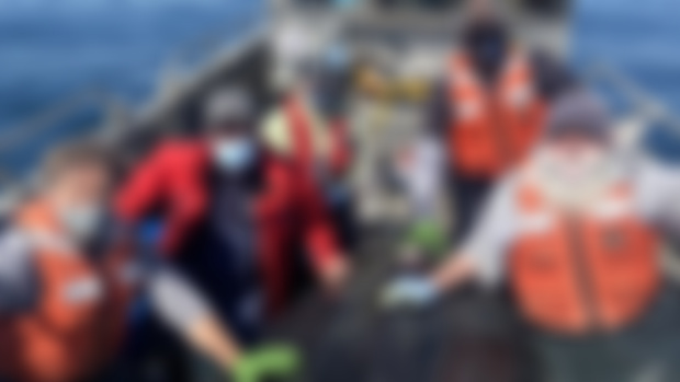 California's Leatherback Sea Turtles of 