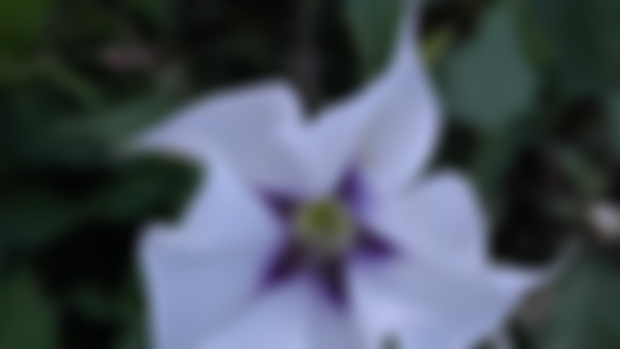 Weekly Astro Forecast ~ Entering Virgo Season