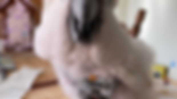 Simple tricks to help you bond with your bird