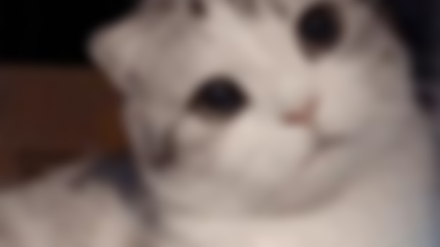 Discord Server!