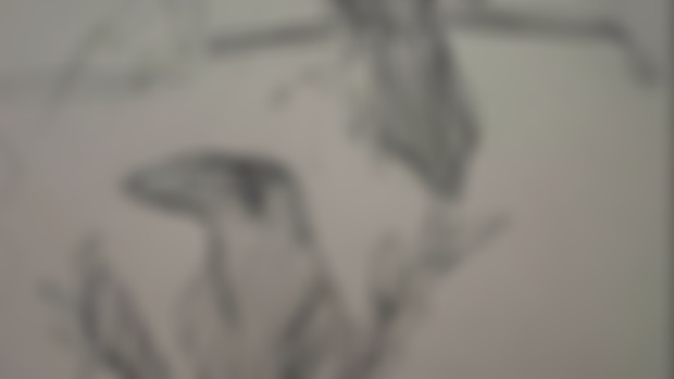 Stick a sad bird on it