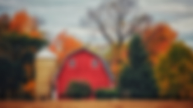 Red Barn Fall Photo
