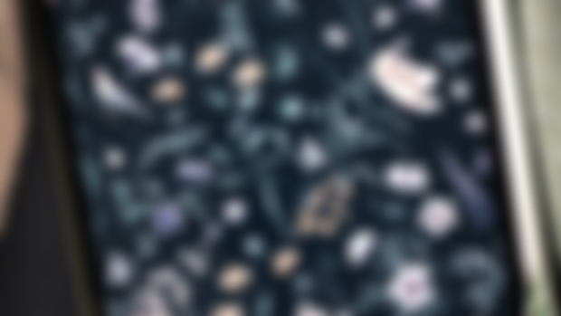 Wallpaper for you - spot the🦋and🐦