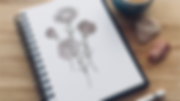 How to draw Carnations
