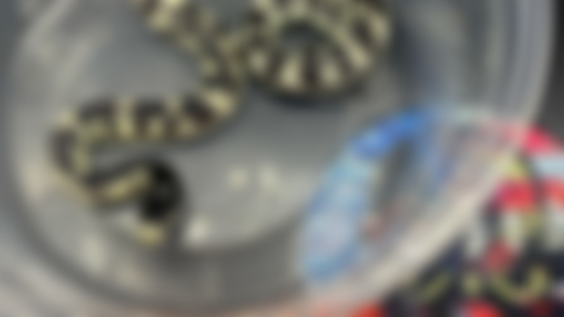 Details…
