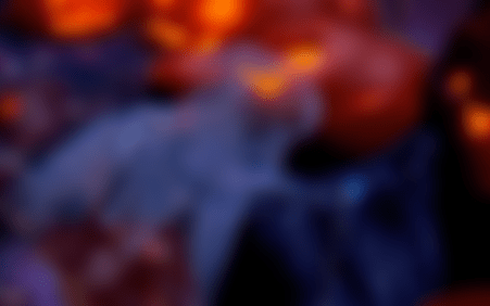 [Download] Halloween 2022 App