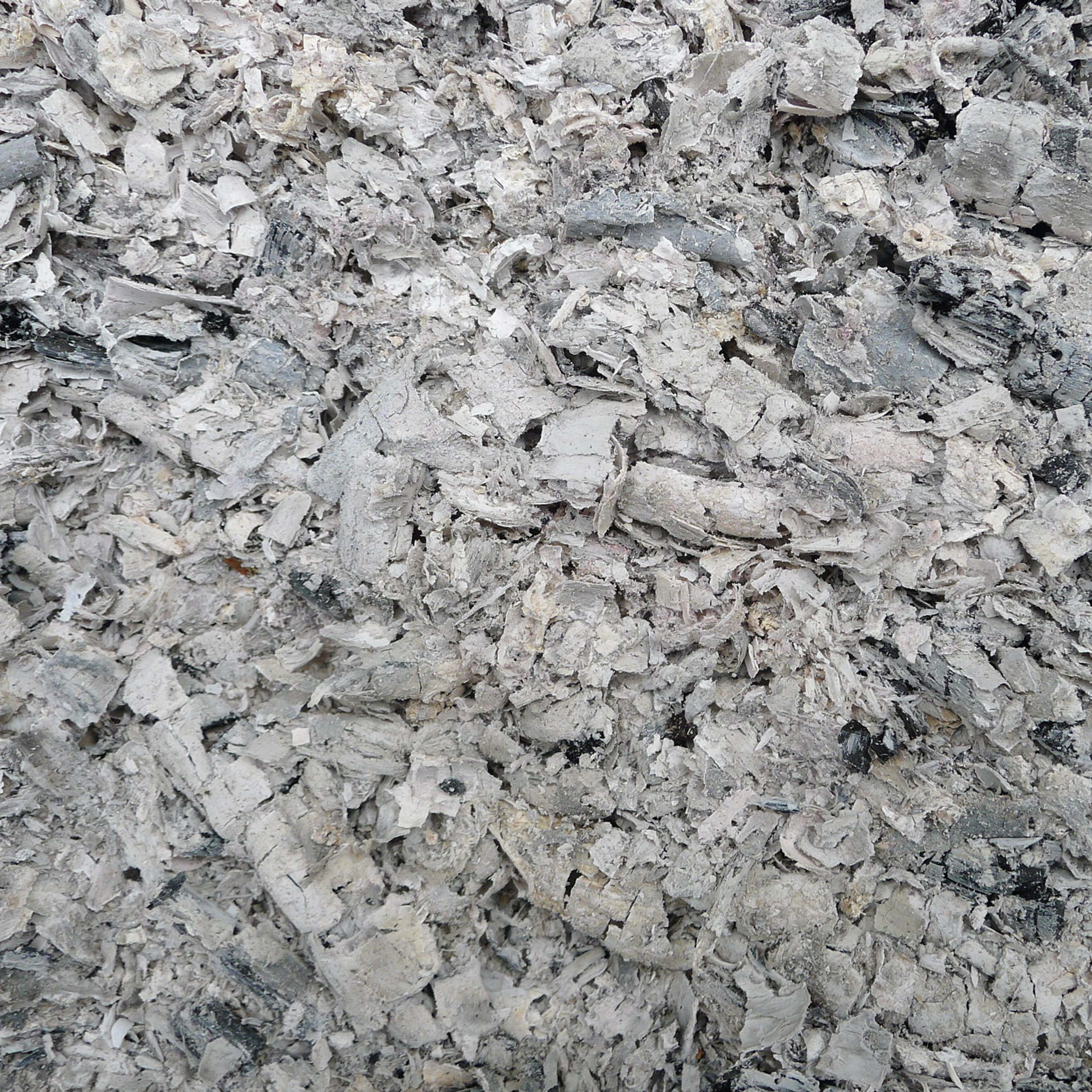 Manawaker Studio\'s Flash Fiction Podcast