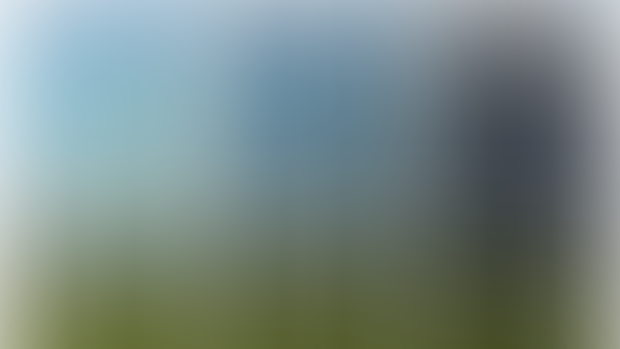 Script Template | Animated Day to Night Primrose Hill