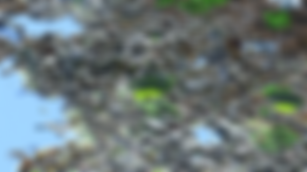 Nuclear Map and Plugins