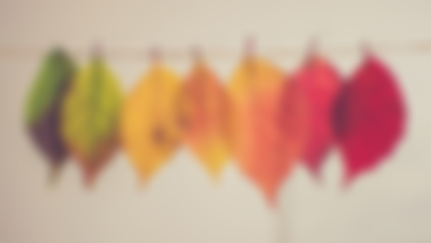 The season of change + Growing closer reunion
