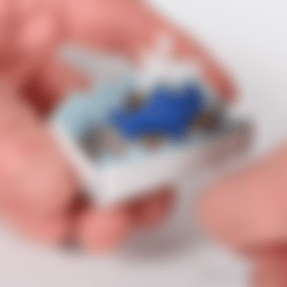 Matchbox Whale
