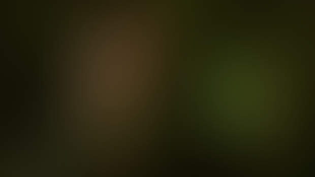 Preview of Forest Nudes by Rachel