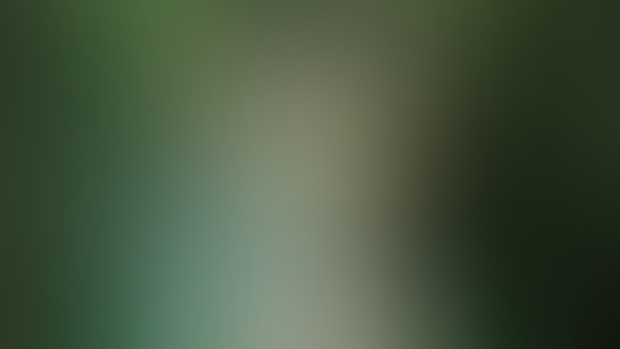 Ghost Face (SFW)