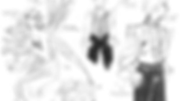 Llyn F Fan Fach Character Sheet 