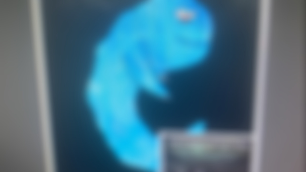 New Poster In The Works