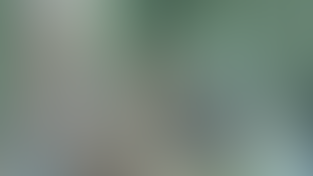 《林间精灵》MP4   H265  8K