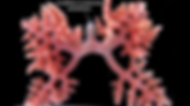 The body-horror of the sea star ‘snowflake’