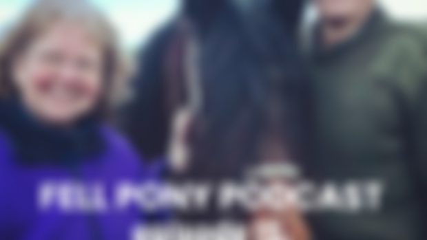 Fell Pony Podcast episode 15 - Charlie and Gina Parker