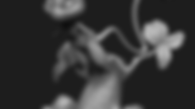 Mew_January Release 2 out of 2 