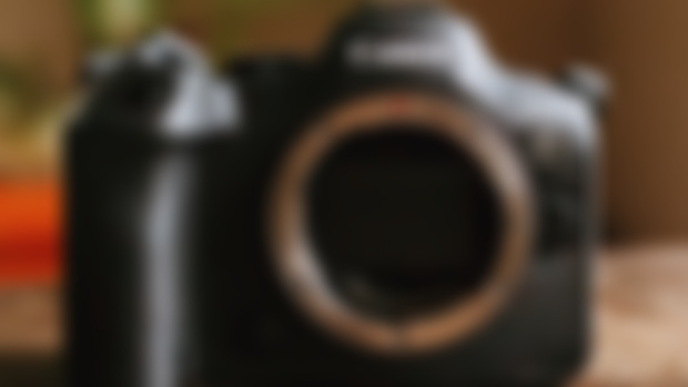 EOS R6 Mark II Real World Review (compared to the EOS R6)