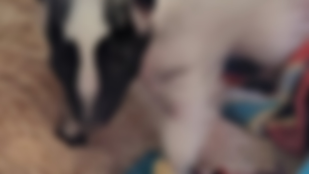 2023 Update 