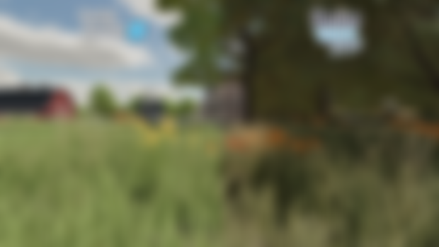 Realistic FS22 Presets (3 included)