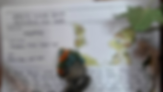 Moss Spryte - January! 