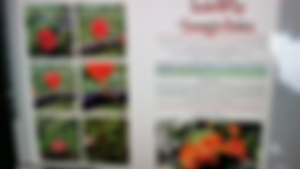 Sneak peek at our new book coming this spring !