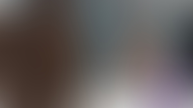 Spark Animation Intro Test