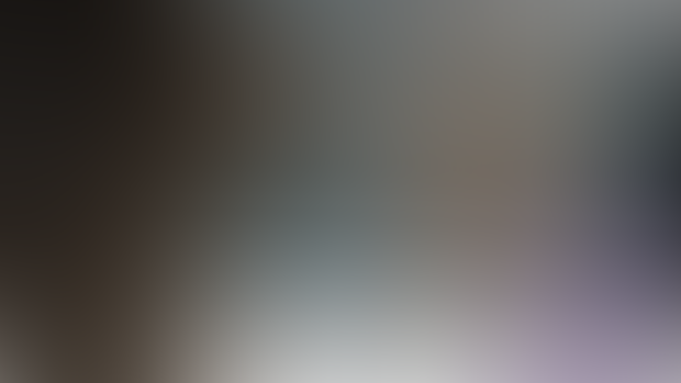 Spark Animation Intro Test Render