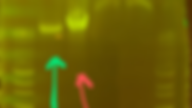 Upcoming Willowlands content 