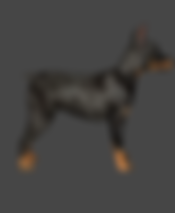 Doberman & Vizsla Puppies ( Blender ONLY) | Patreon