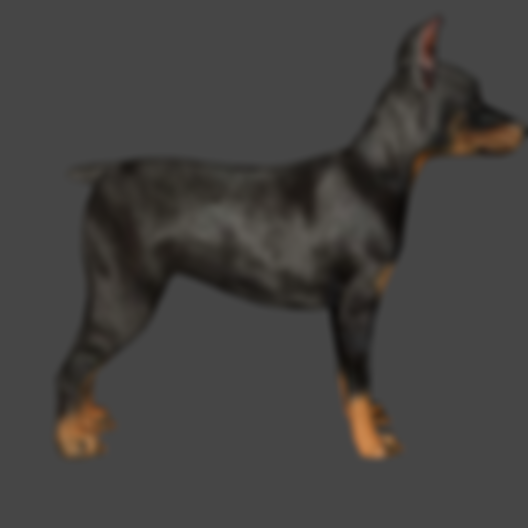 Doberman & Vizsla Puppies ( Blender ONLY) | Patreon
