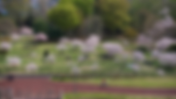 UPDATE #7: March 2023
