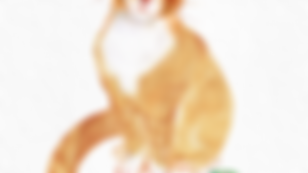 Pet Commission