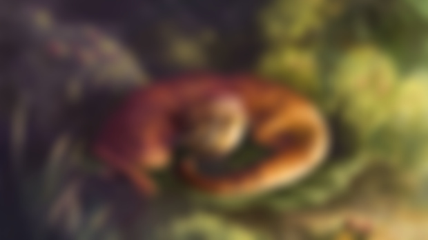 Limgrave Nap (WIP)