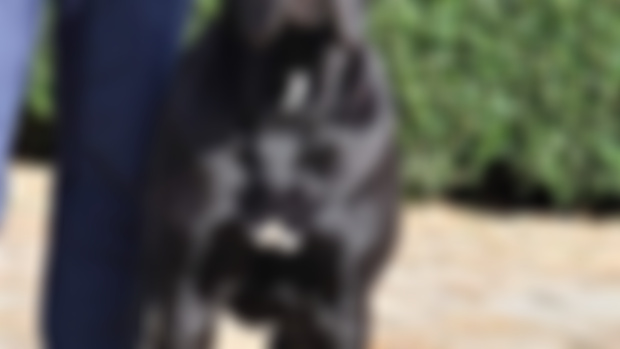 Kona 
