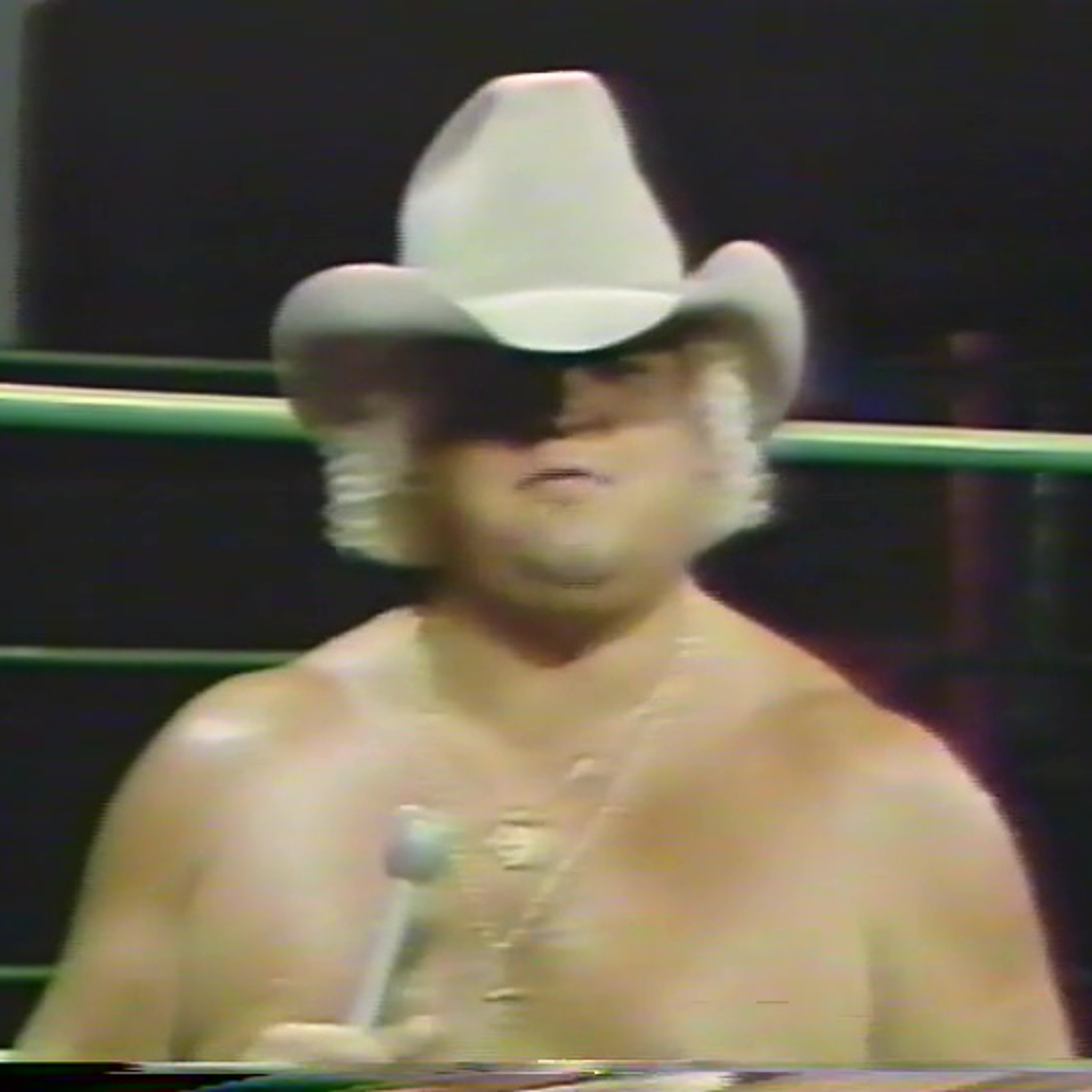[PREVIEW] Regional Rasslin' Ep. #11 - GCW 1/17/1981 episode artwork