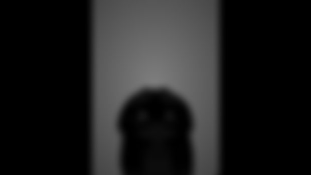 Something is behind