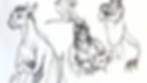 The Dragon's Remain designs