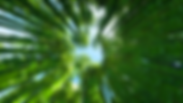 Immersive bamboo forest 1.19.4