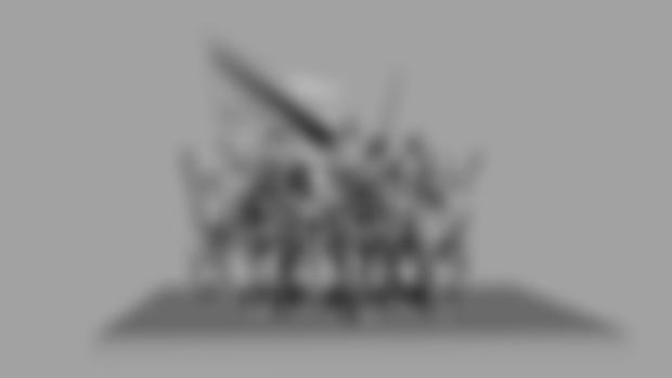 knights and warriors