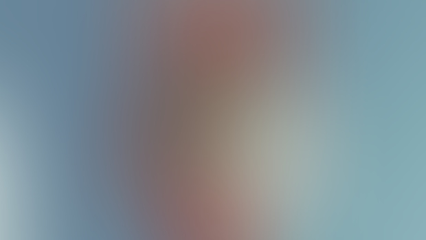 New diane foxington Animation!