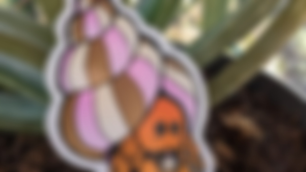 Sticker Club / Neapolitan Hermit