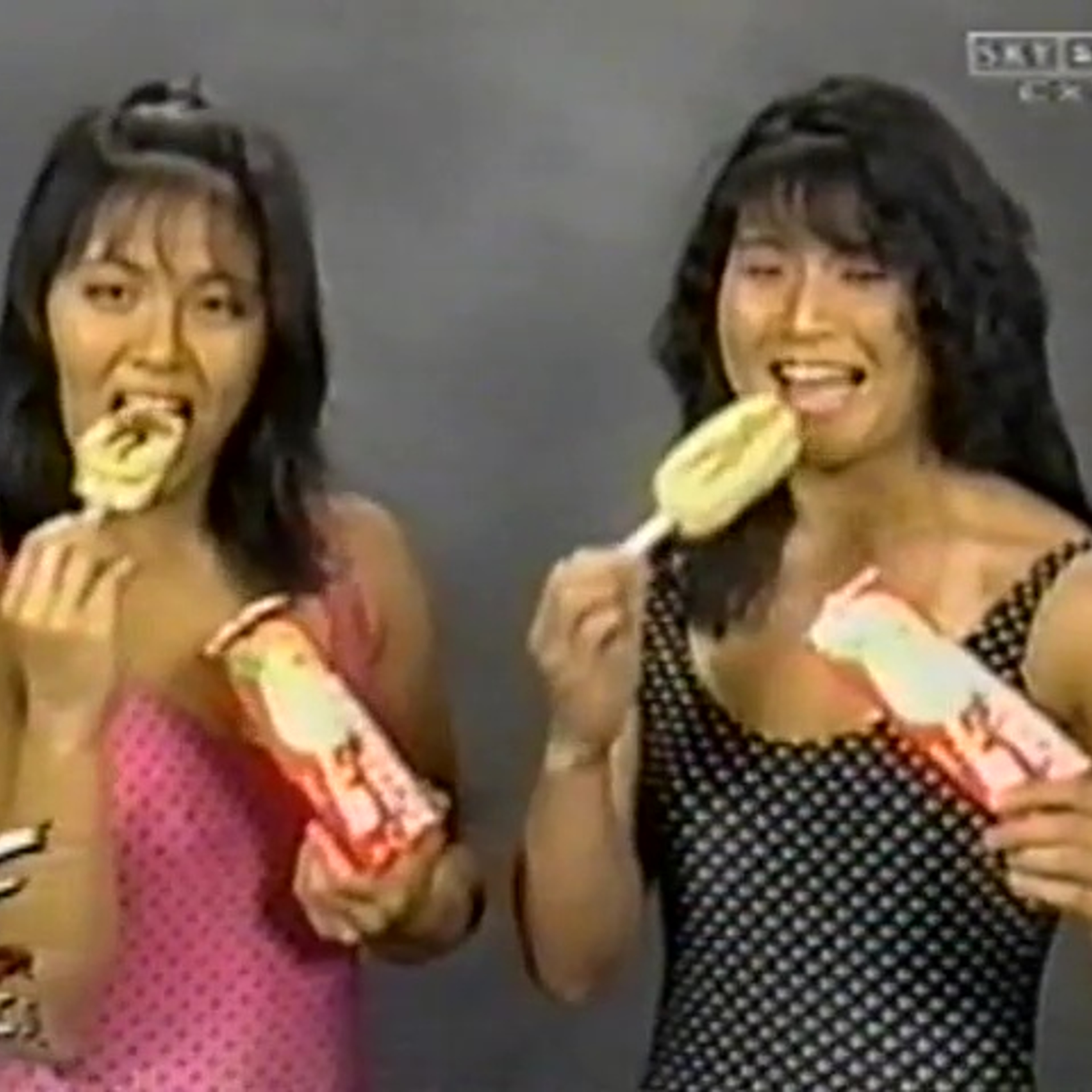 WRESTLECOPIA PATREON