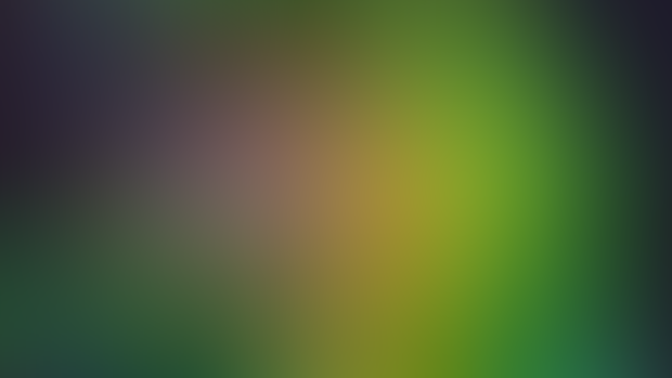 Bonus Outfit: Marcus Alebrije SDK3 update