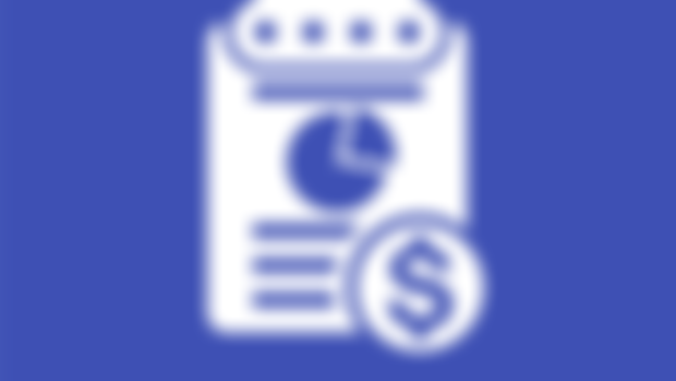 Monthly Expense Report