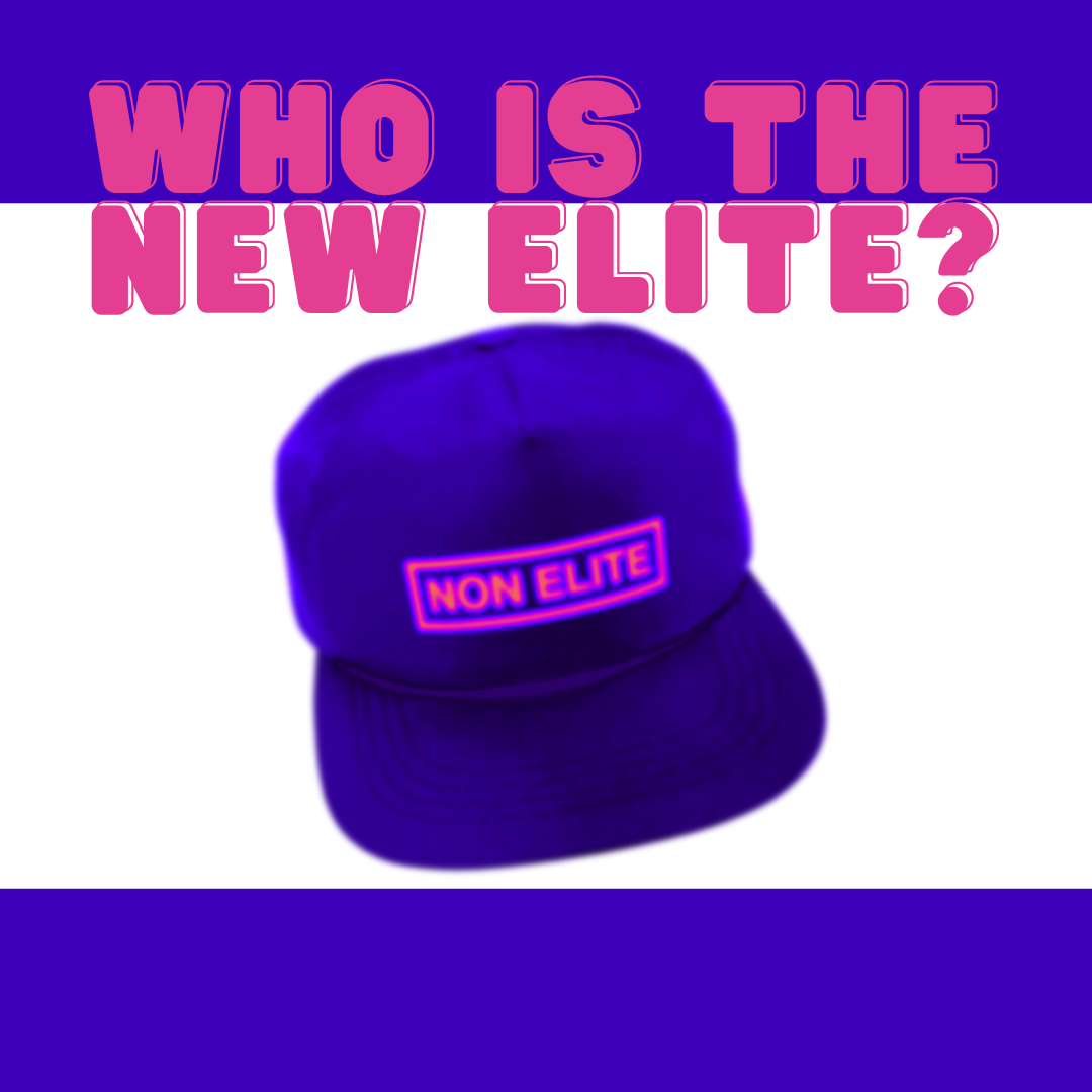 /345/ Who Is The New Elite? ft. Matt Goodwin