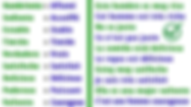 Liste de 80 Adjectifs en espagnol pour débutants